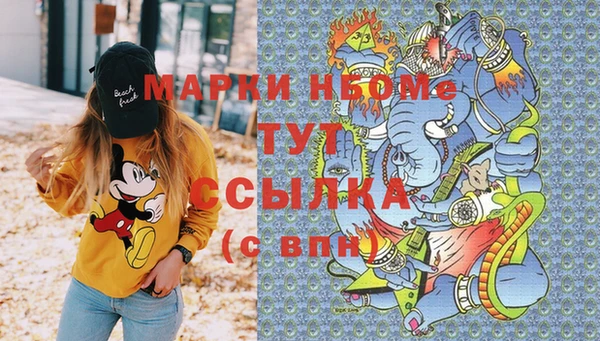 мдпв Шадринск