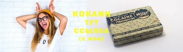 твердый Няндома