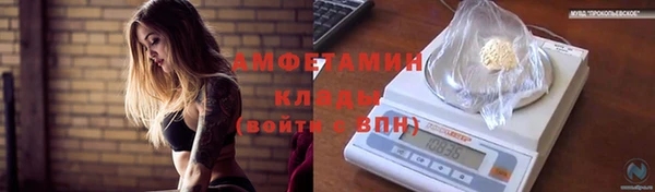 твердый Няндома