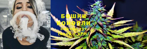 твердый Няндома