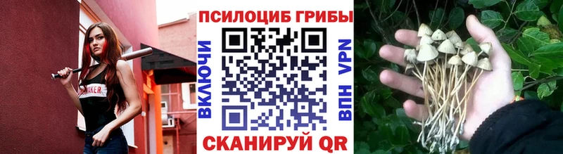 Галлюциногенные грибы прущие грибы  что такое наркотик  Зеленокумск 